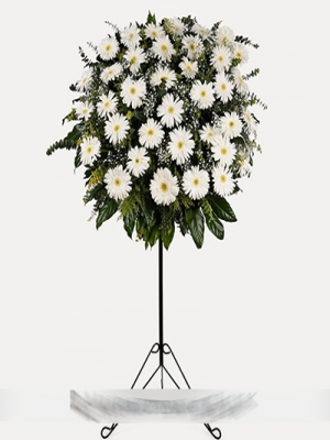  Körfez Çiçek - Beyaz Gerbera Ferforje
