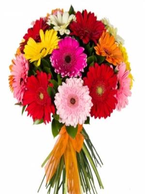  Körfez Çiçek Siparişi - Renkli Gerbera Buketi