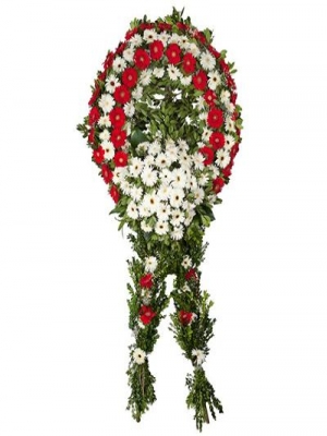 Körfez Çiçekçi - Kırmızı Beyaz Gerbera Cenaze Çelengi
