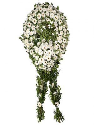  Körfez  - Beyaz Gerbera Cenaze Çelengi